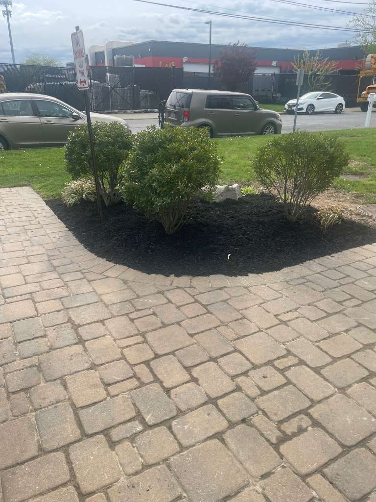 Lawn maintenance and garden care