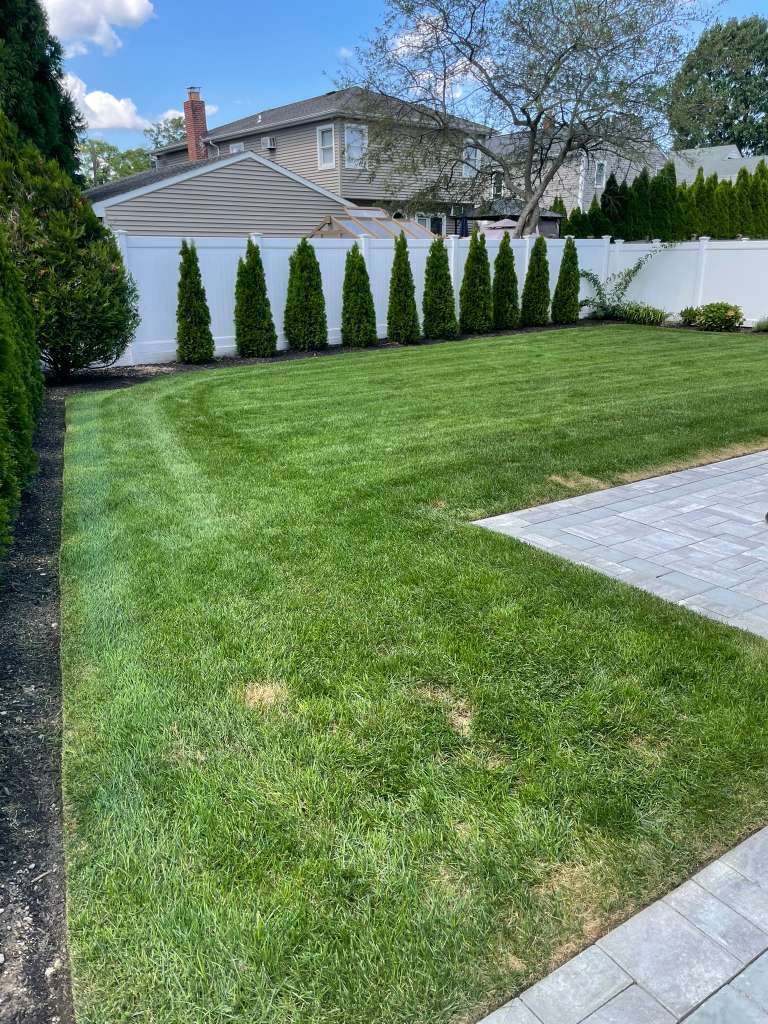 Landscape design and garden improvement