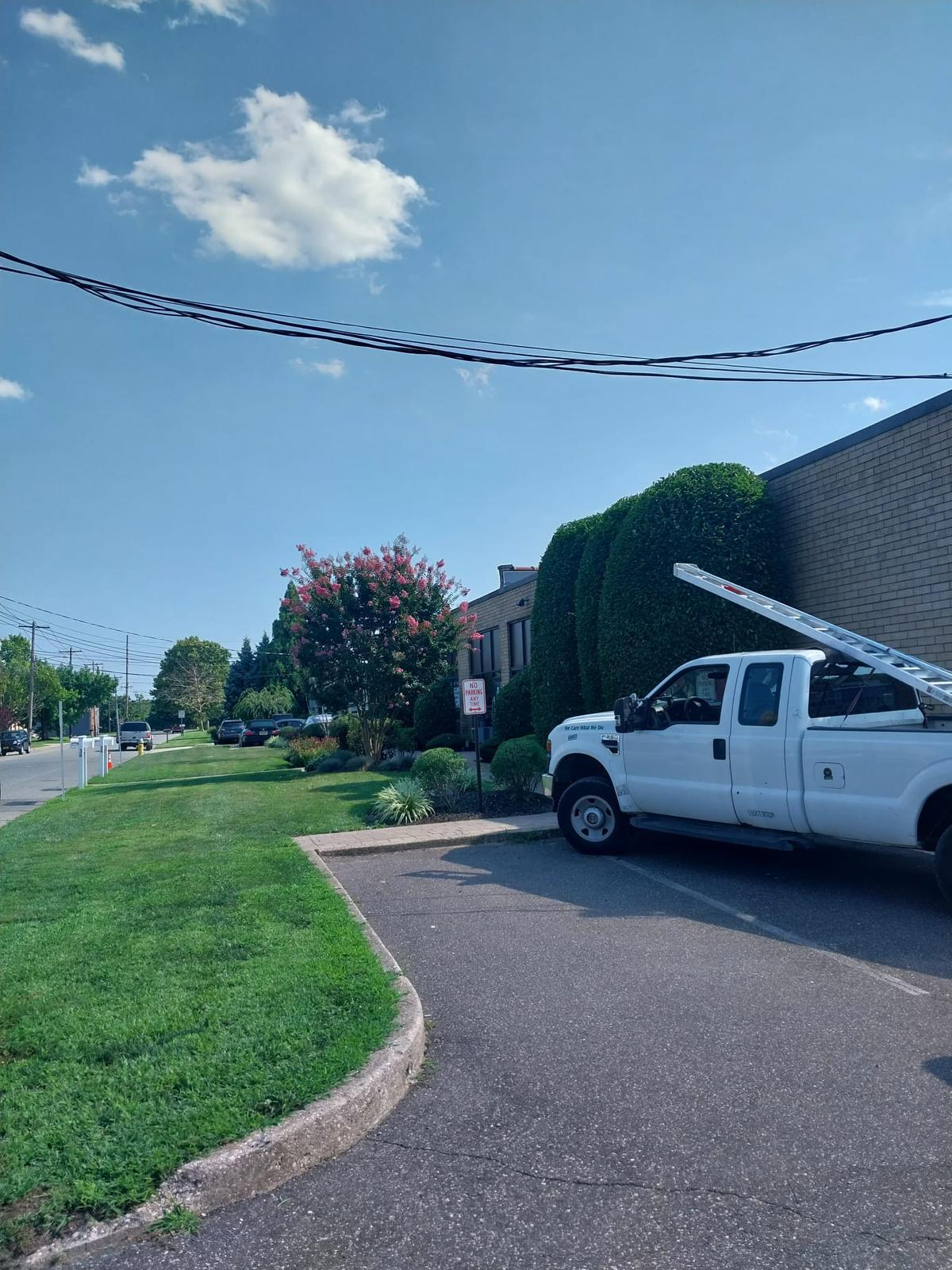 Spring clean-ups and outdoor maintenance